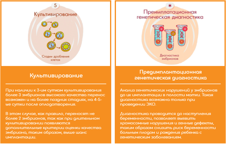 Генетическая диагностика и культивирование - этапы ЭКО levels 3.png